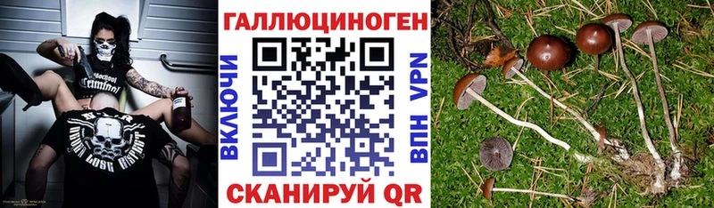 дарк нет какой сайт  гидра как войти  Псилоцибиновые грибы ЛСД  Зубцов  цены наркотик 
